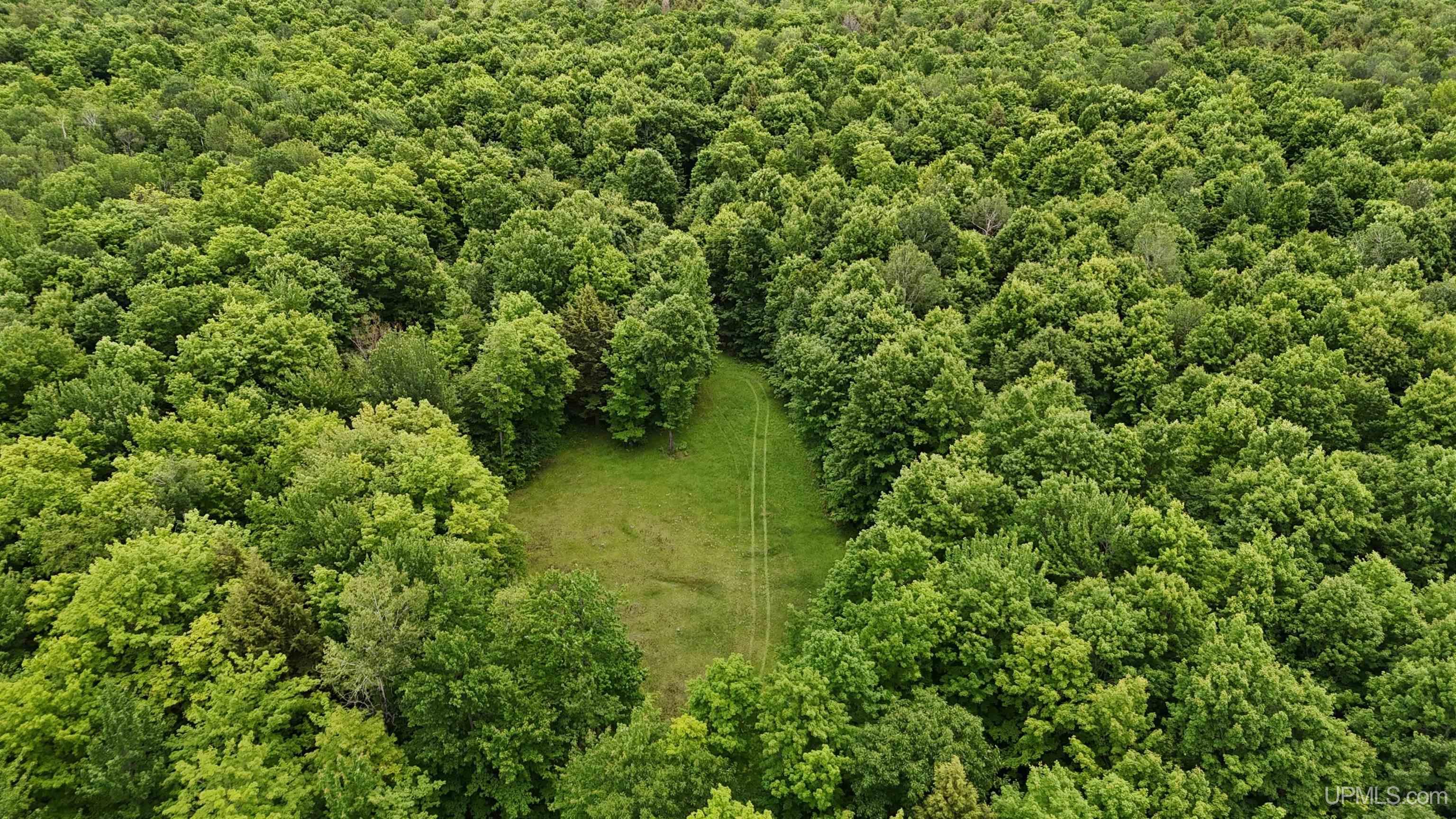 Tbd25.8 Skanee Road Skanee, MI 49962 - Photo 5 of 20