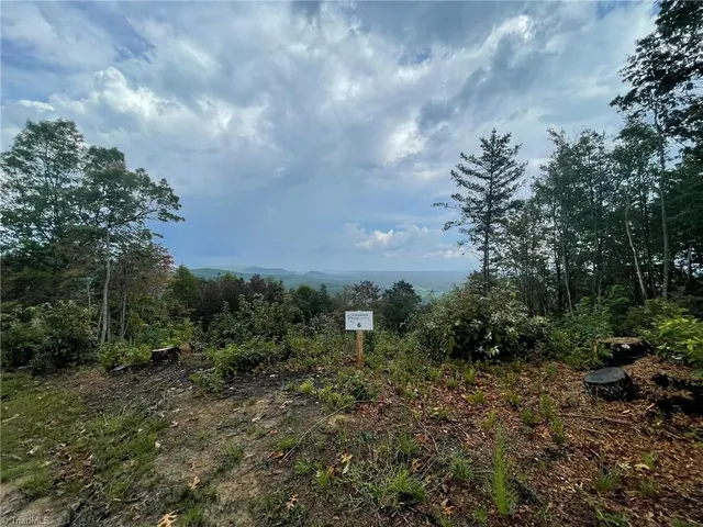 $38,900 | Tract 6-blackberry Ridge Tract 6-blackberry Ridge, Hays, NC 28635