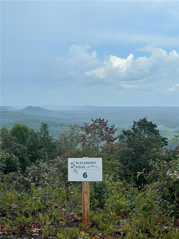 Tract 6-blackberry Ridge Tract 6-blackberry Ridge Hays, NC 28635 - Photo 5 of 11