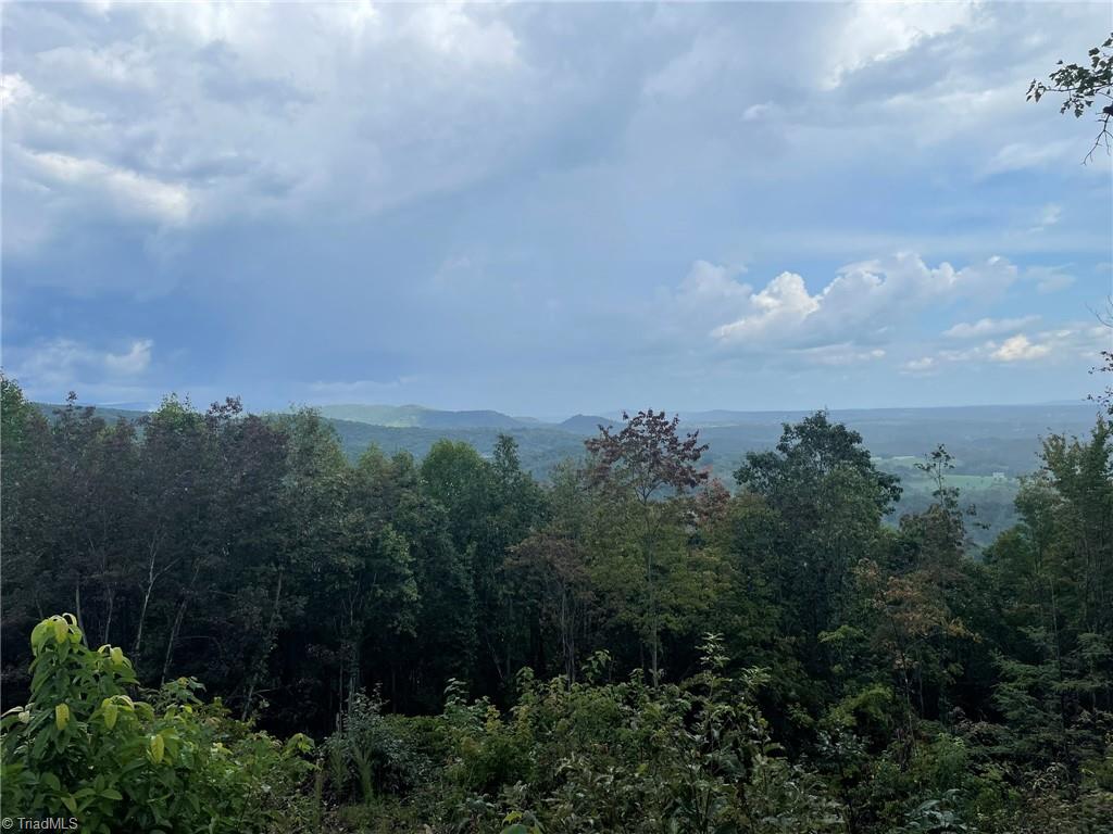 Tract 6-blackberry Ridge Tract 6-blackberry Ridge Hays, NC 28635 - Photo 6 of 11