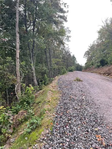 $38,900 | Tract 6-blackberry Ridge Tract 6-blackberry Ridge, Hays, NC 28635