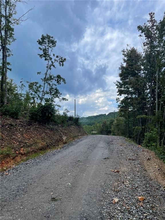 Tract 6-blackberry Ridge Tract 6-blackberry Ridge Hays, NC 28635 - Photo 10 of 11 main road