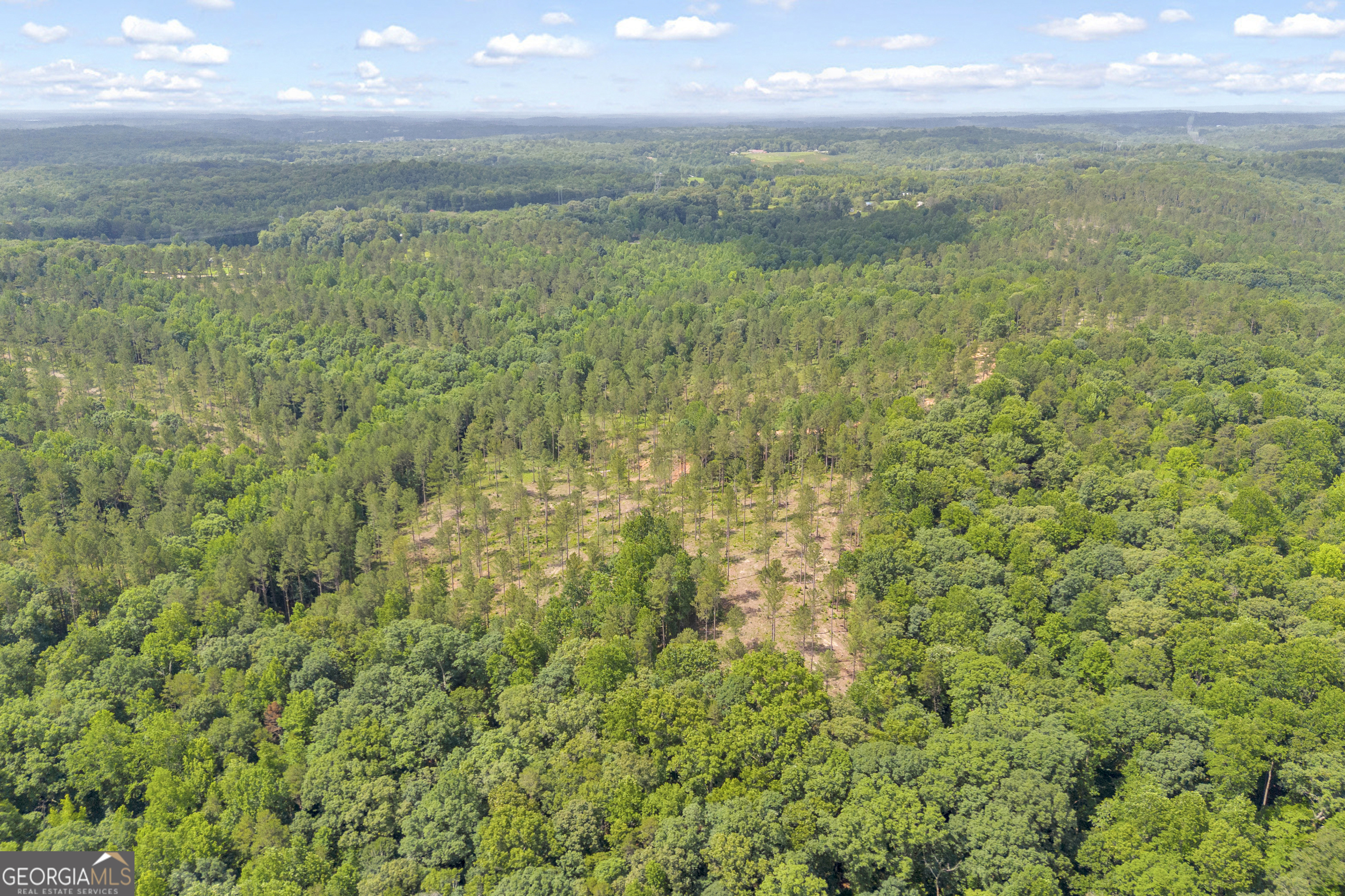 0 Mt Sinai Road, Unit LOT 1 Lula, GA 30554 - Photo 11 of 67