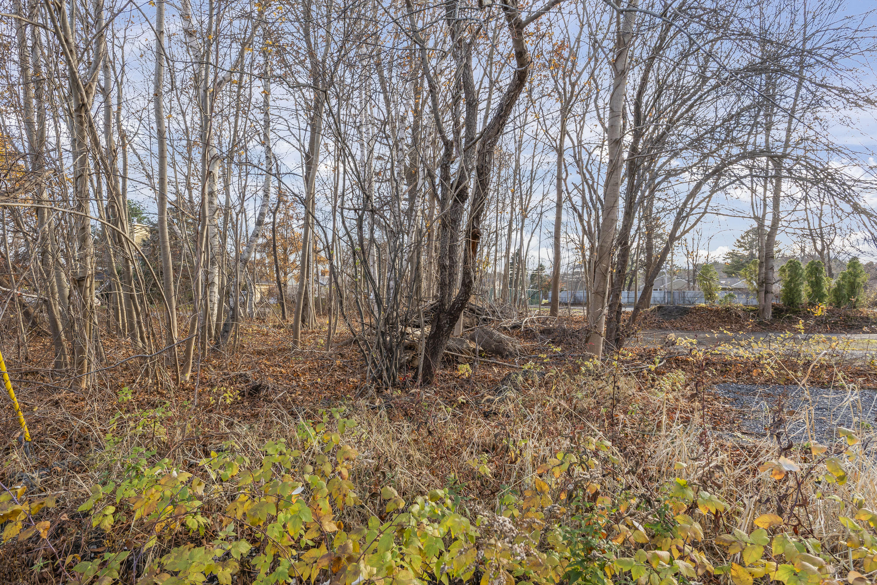 189 Eldridge Road Wells, ME 04090 - Photo 5 of 9 Land for Sale