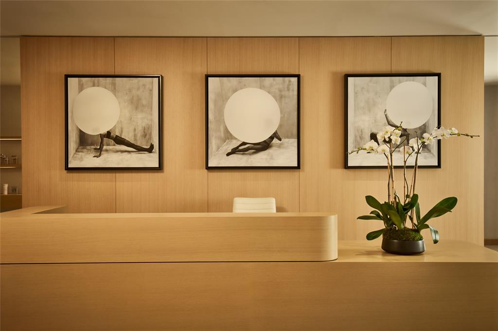 500 Alton Road, Unit 3903 04 Miami Beach, FL 33139 - Photo 39 of 72 a bathroom with a painting on the wall and a potted plant