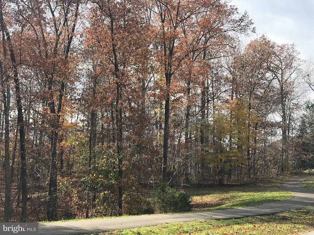 8322 Roxborough Loop Gainesville, VA 20155 - Photo 33 of 37 Lake Manassas Walking Trails