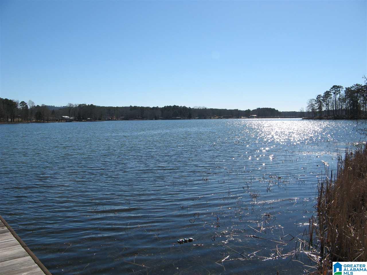 597 Cove Road Sylacauga, AL 35151 - Photo 29 of 35
