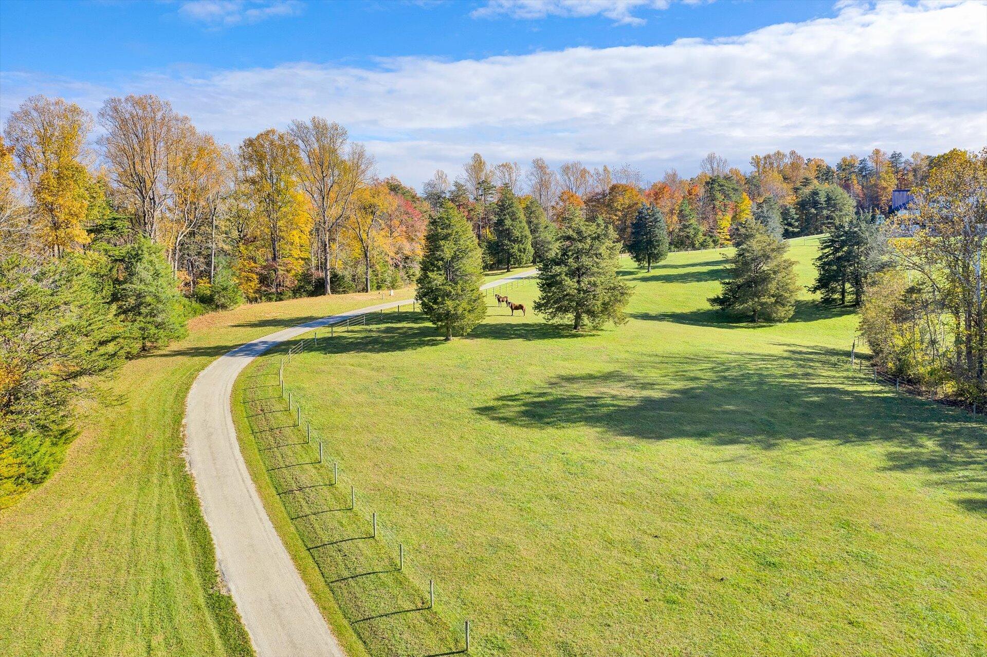 574 Menefee Road Ferrum, VA 24088 - Photo 95 of 105 096-110420210042