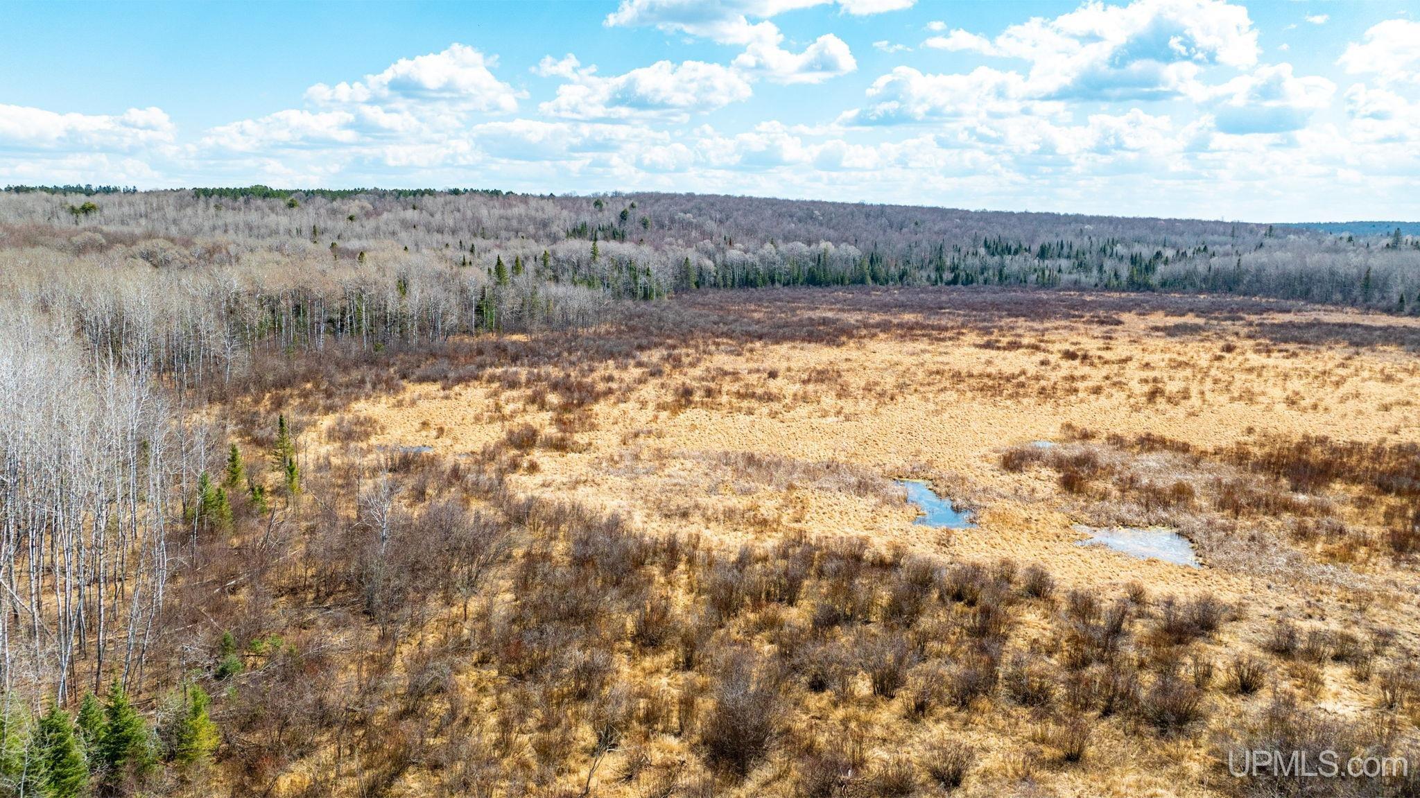 Tbd Passamani Road Iron River, MI 49935 - Photo 26 of 41