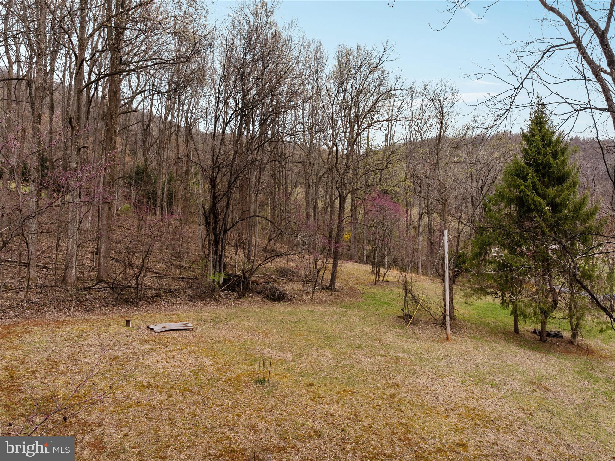 1005 Harmony Orchard Road Front Royal, VA 22630 - Photo 11 of 21 a view of backyard space