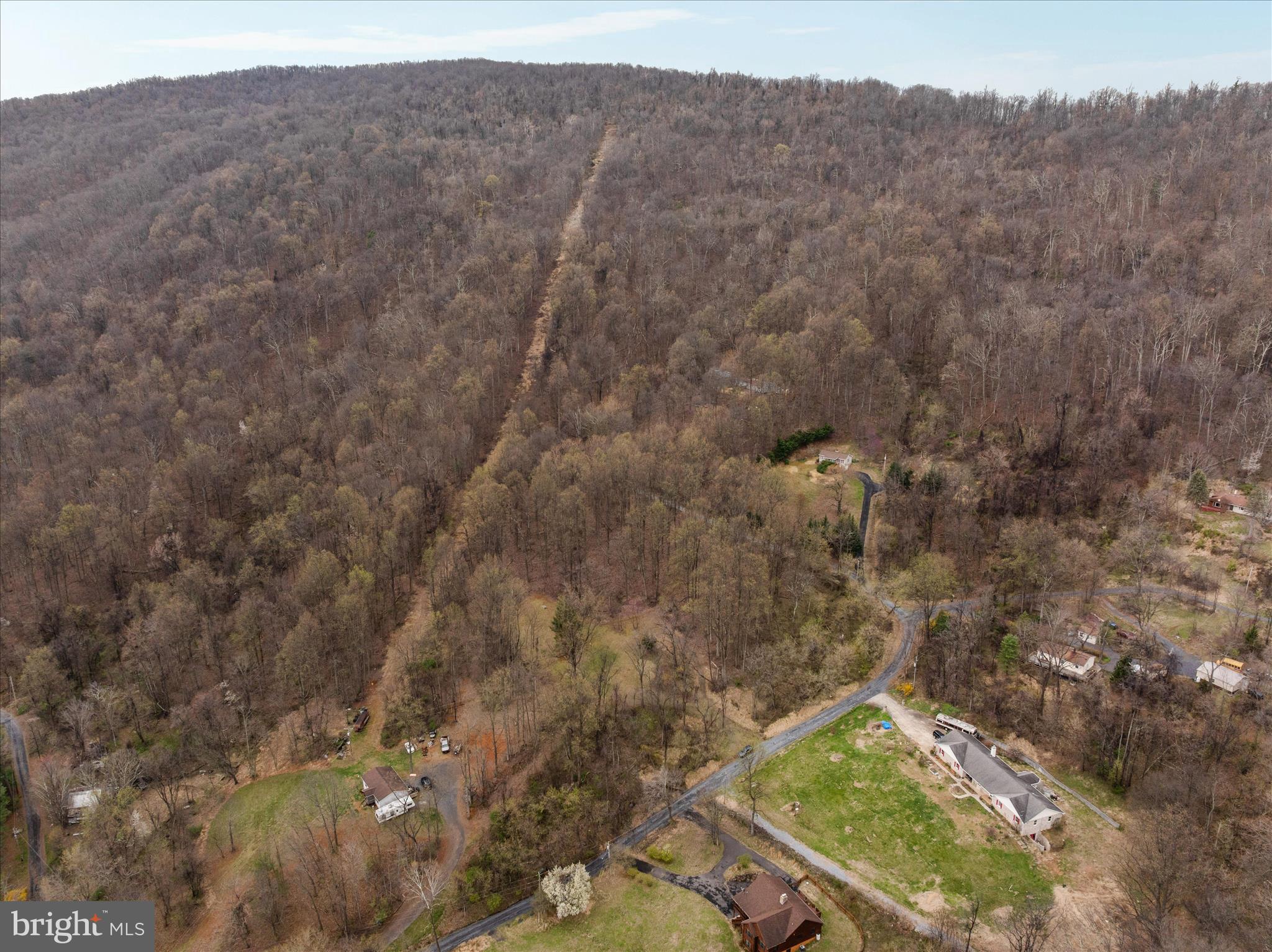 1005 Harmony Orchard Road Front Royal, VA 22630 - Photo 13 of 20 a view of a mountain from a backyard