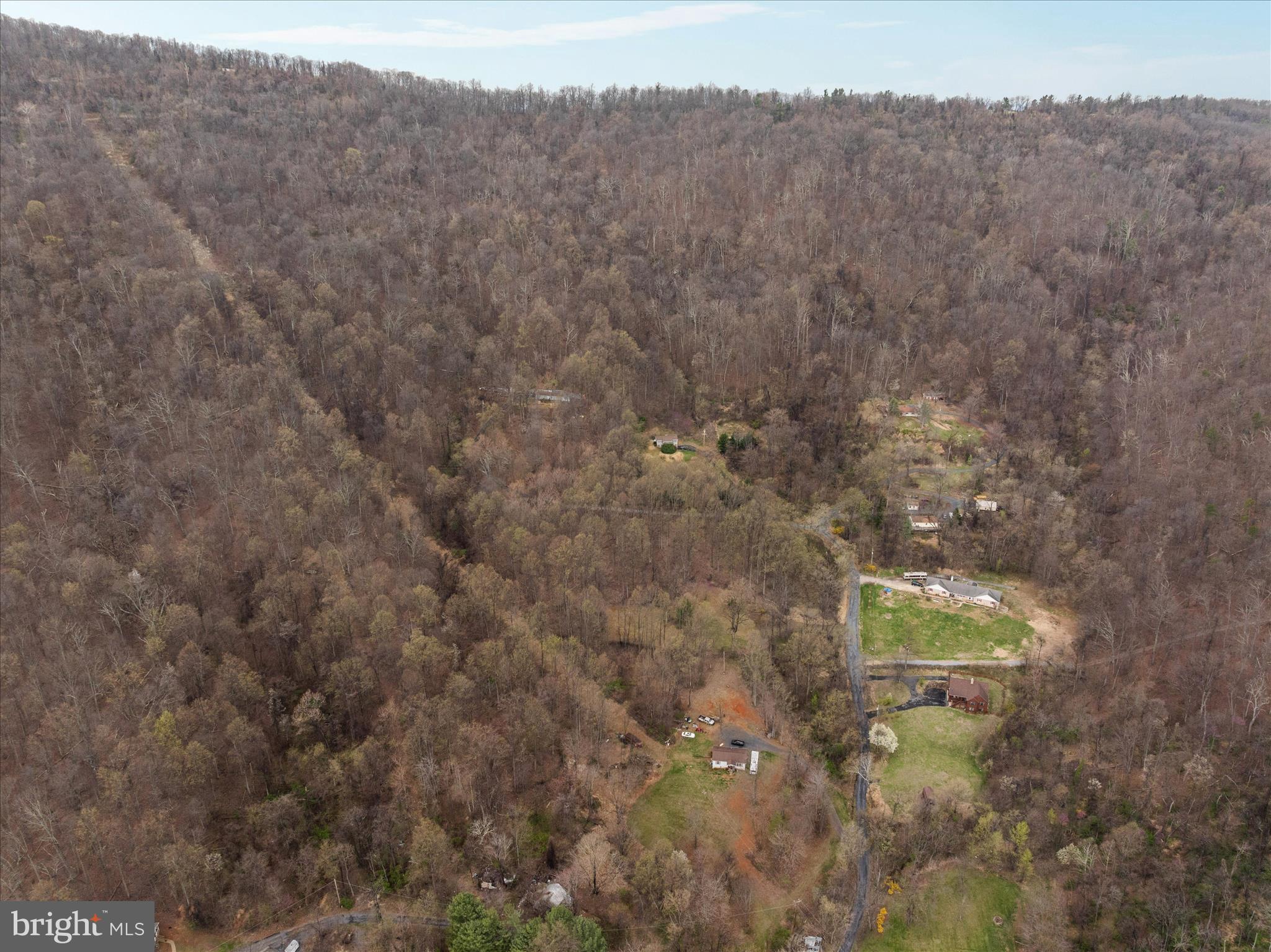 1005 Harmony Orchard Road Front Royal, VA 22630 - Photo 17 of 21 a view of a dry yard