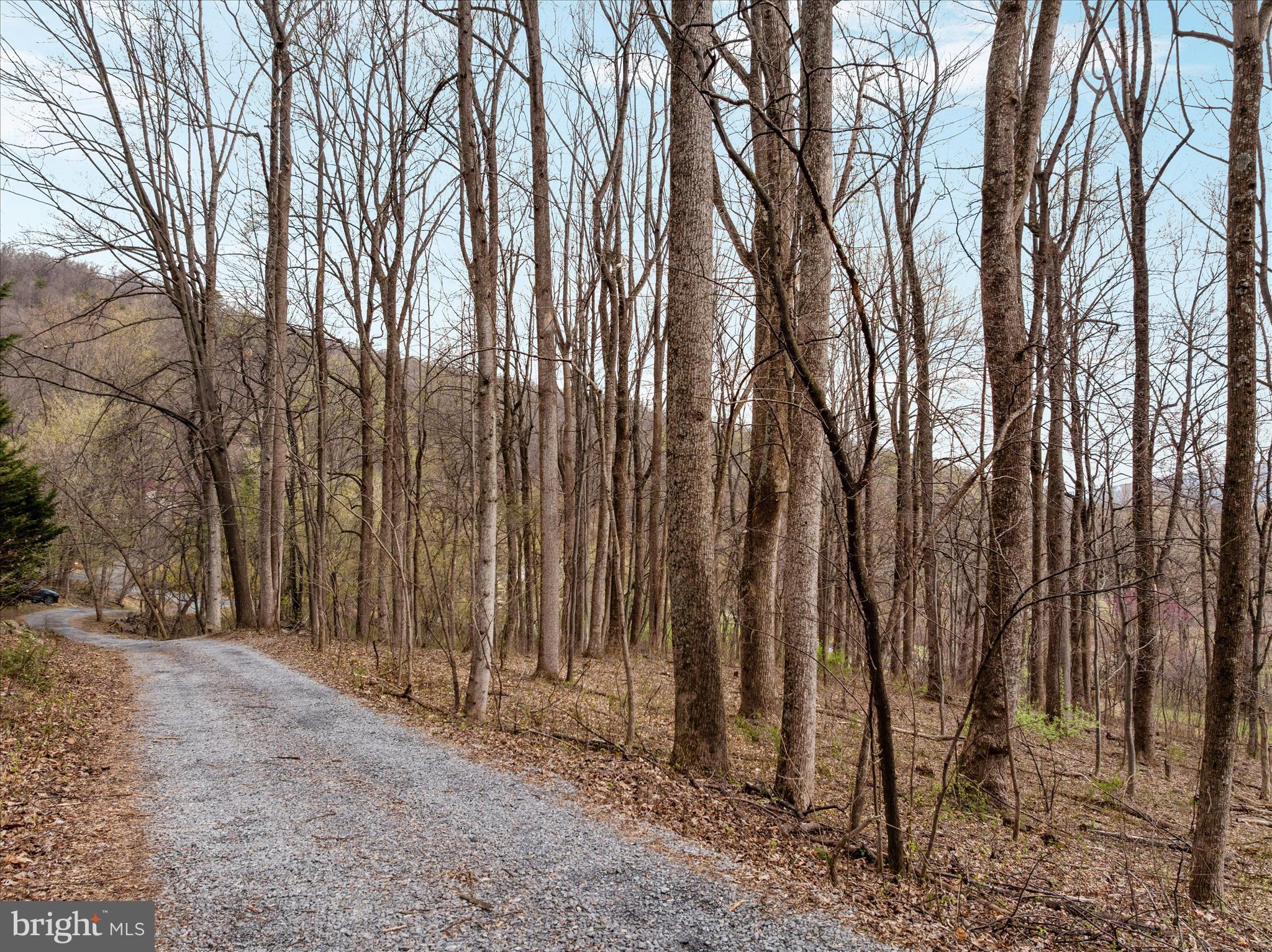 1005 Harmony Orchard Road Front Royal, VA 22630 - Photo 3 of 21 a view of a backyard of the house