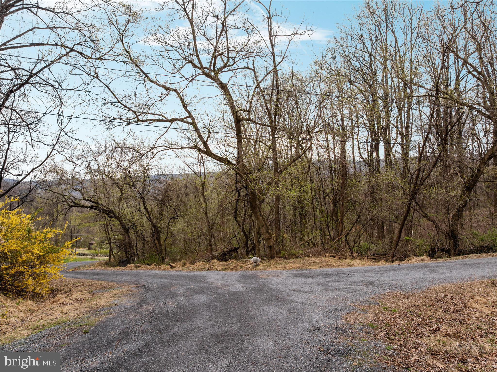 1005 Harmony Orchard Road Front Royal, VA 22630 - Photo 4 of 21 a view of backyard space and trees