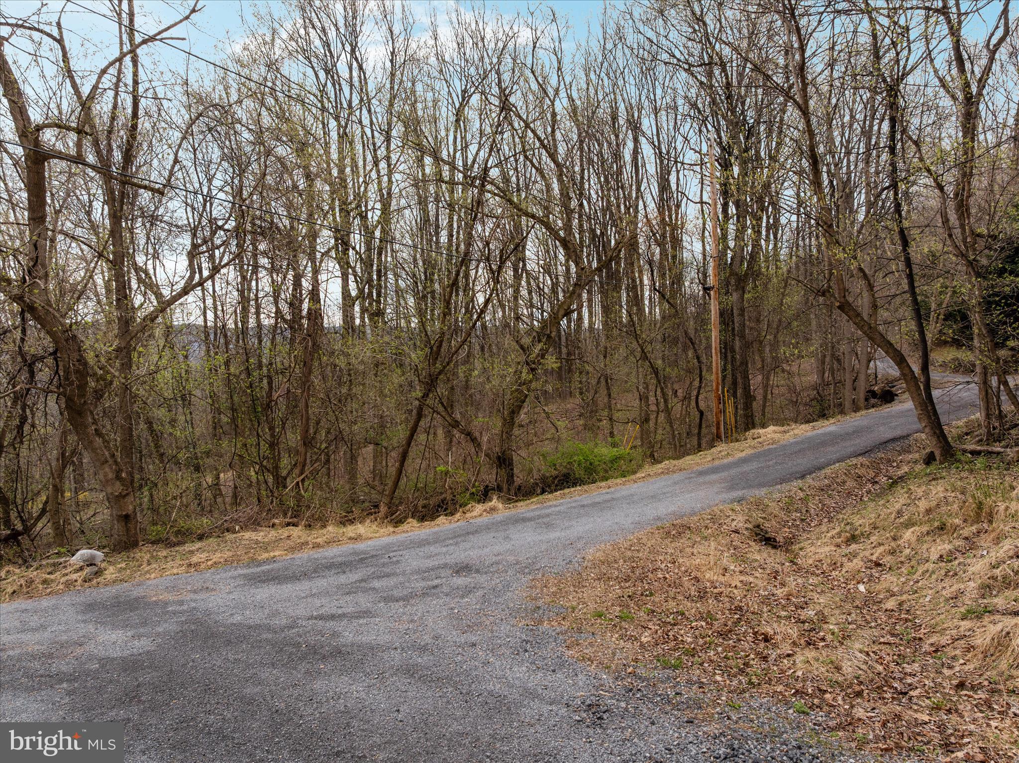 1005 Harmony Orchard Road Front Royal, VA 22630 - Photo 5 of 21 a view of a yard with trees