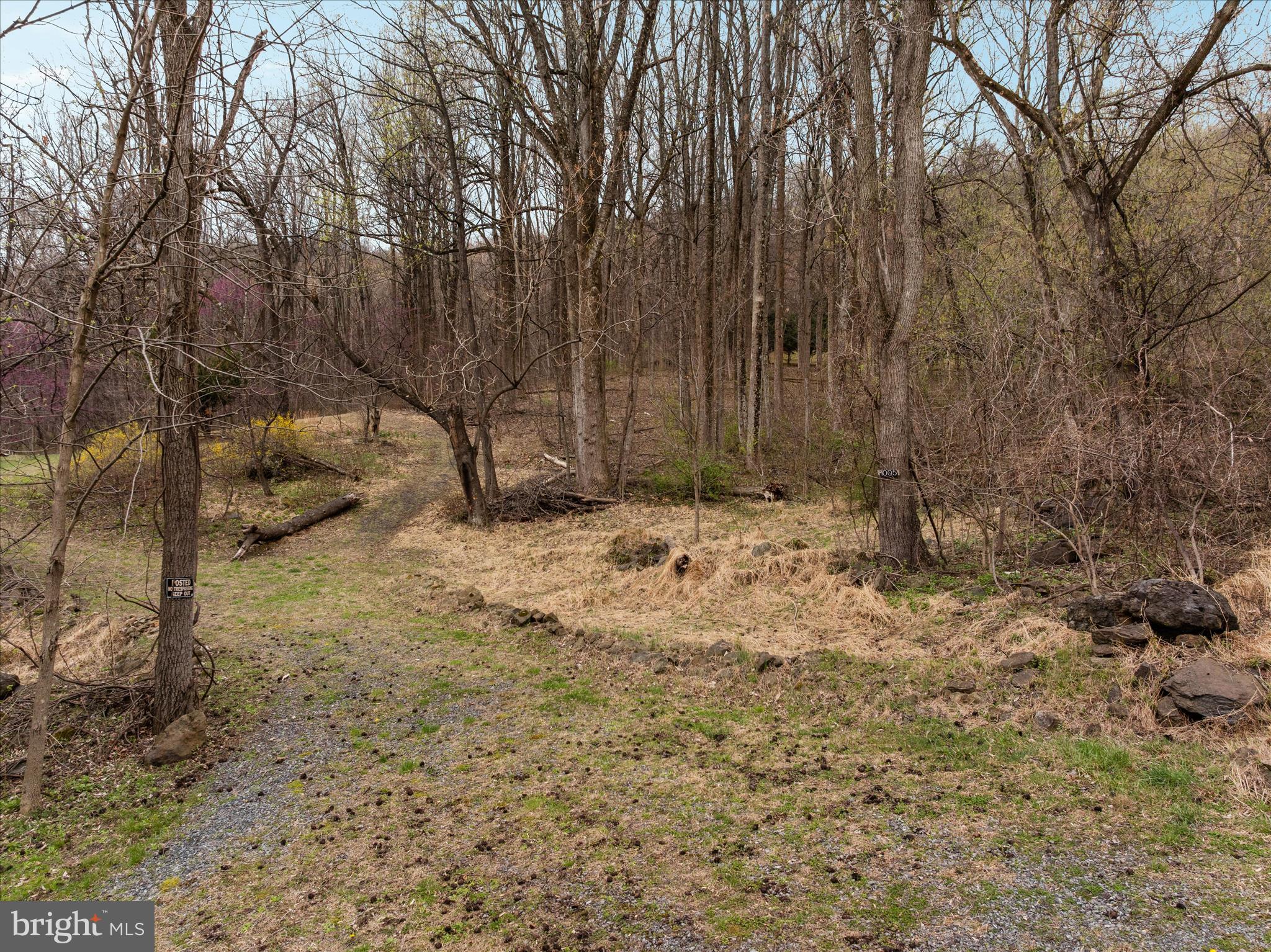 1005 Harmony Orchard Road Front Royal, VA 22630 - Photo 6 of 21 a view of outdoor space and yard