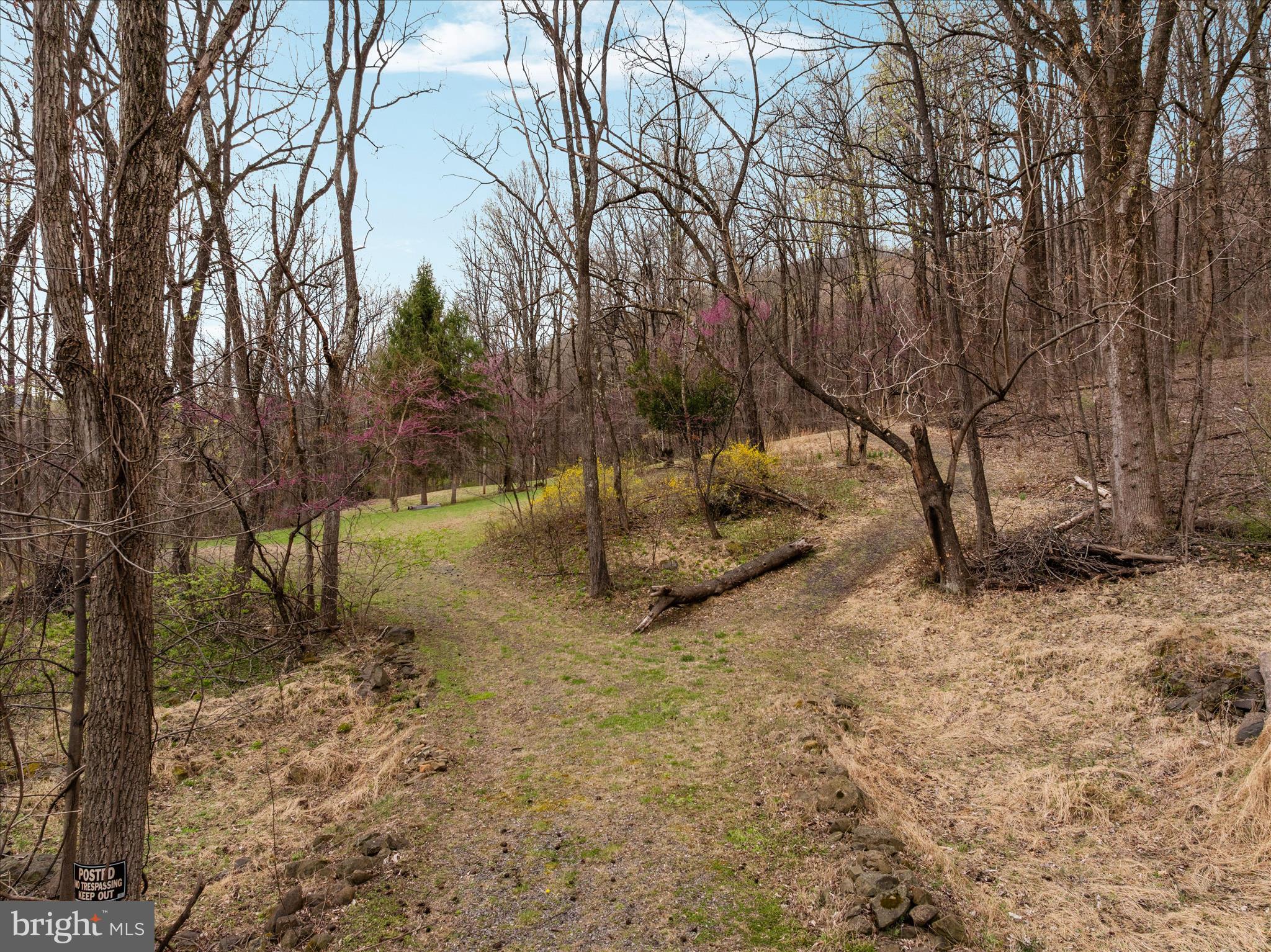 1005 Harmony Orchard Road Front Royal, VA 22630 - Photo 6 of 20 a view of backyard with tree