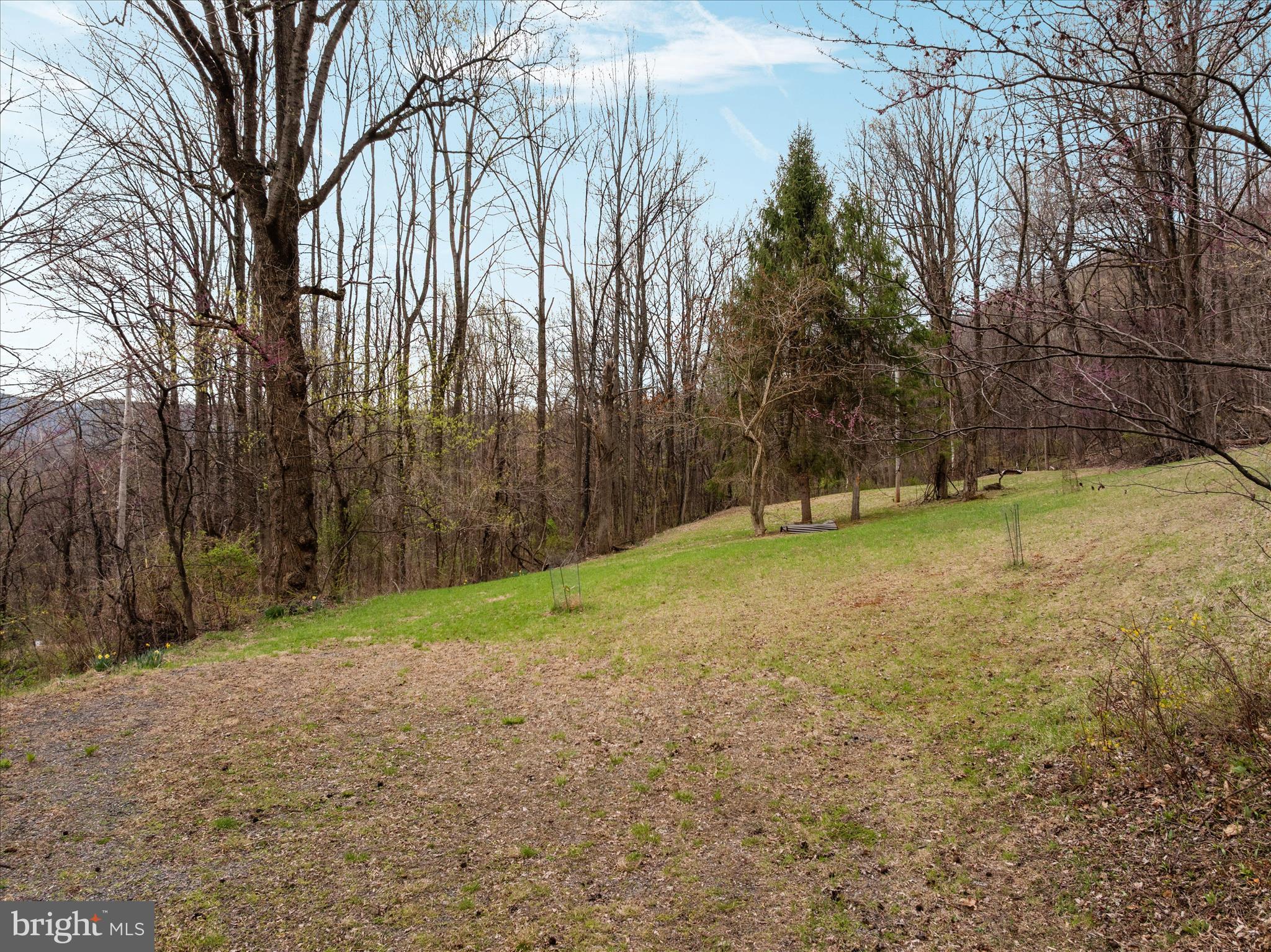 1005 Harmony Orchard Road Front Royal, VA 22630 - Photo 8 of 21 a view of a field with trees in the background