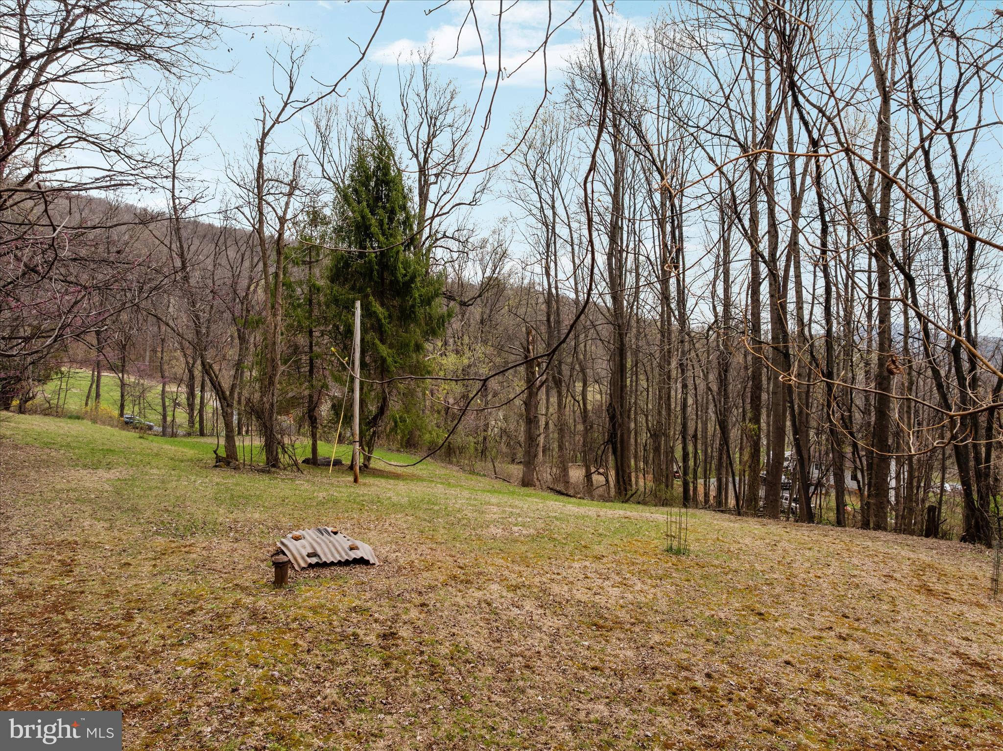 1005 Harmony Orchard Road Front Royal, VA 22630 - Photo 10 of 21 a view of a park with large trees