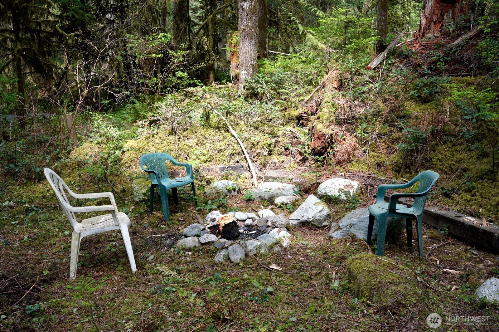 8480 South Cascade Road Marblemount, WA 98267 - Photo 23 of 32 Gallery Image 23