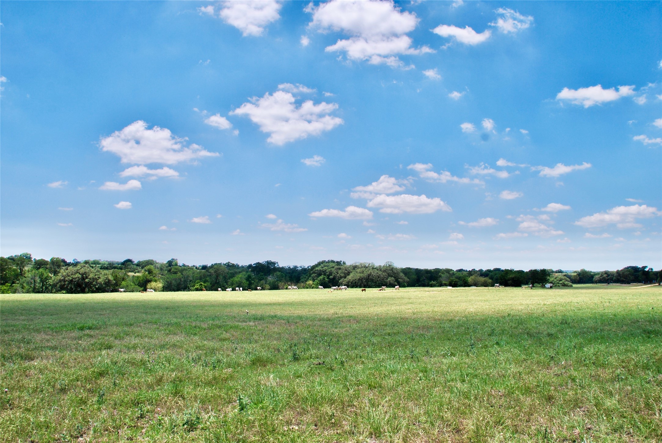 2116 Langdon Road Weimar, TX 78962 - Photo 6 of 43 a view of a lake