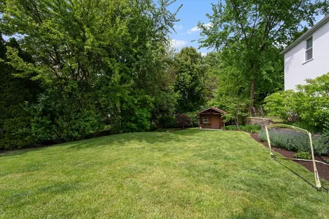 a backyard of a house with plants and large trees