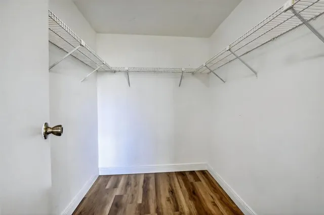 a view of a playground with a tree