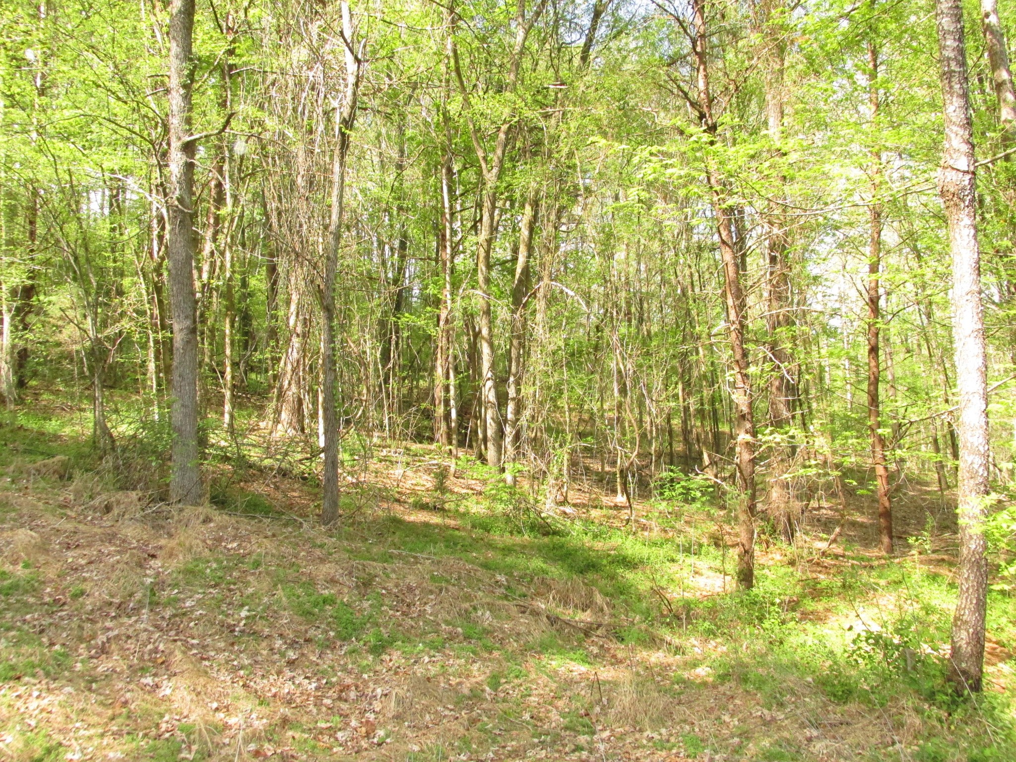 160 Thompson Road Pikeville, TN 37367 - Photo 17 of 33 Gallery Image 17
