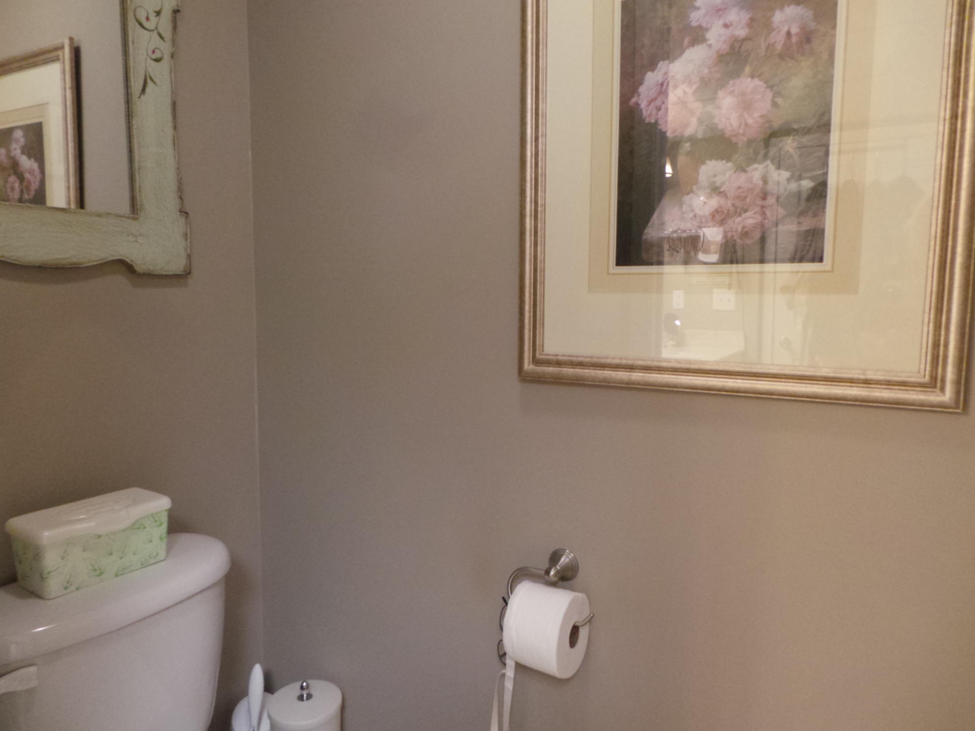 169 Laurel View Road Jonesborough, TN 37659 - Photo 69 of 159 FULL BATH DOWNSTAIRS