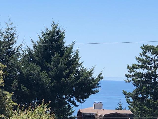 8 Sea Crest Road Shelter Cove, CA 95589 - Photo 3 of 3