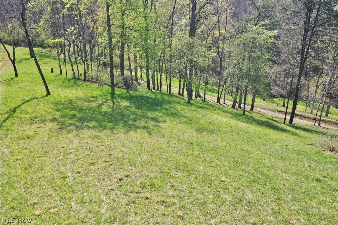 6670 Lower Run Road Normantown, WV 25267 - Photo 29 of 46