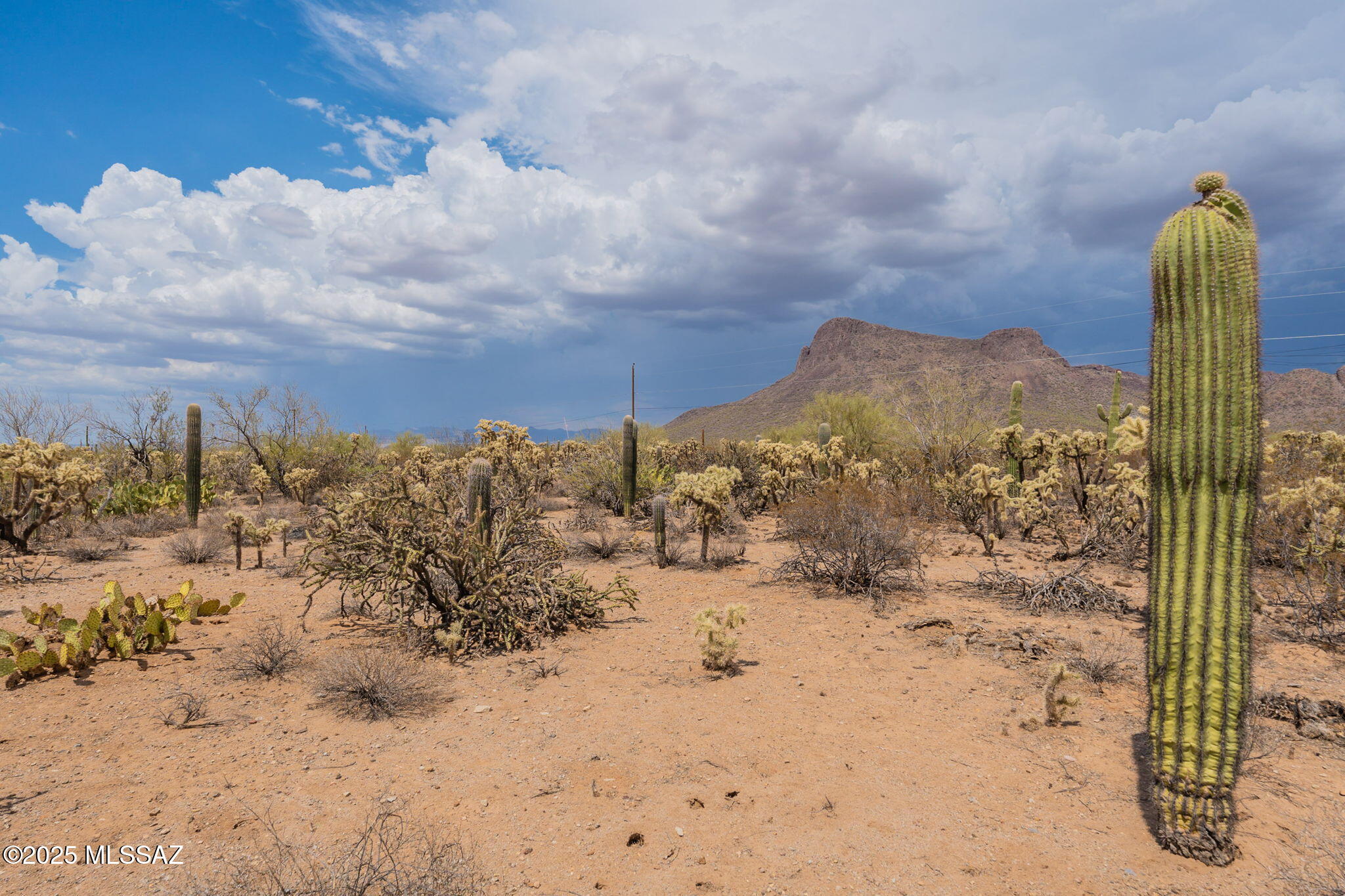 Tbd North Tbd N Van Ark Road Tucson, AZ 85743 - Photo 5 of 25