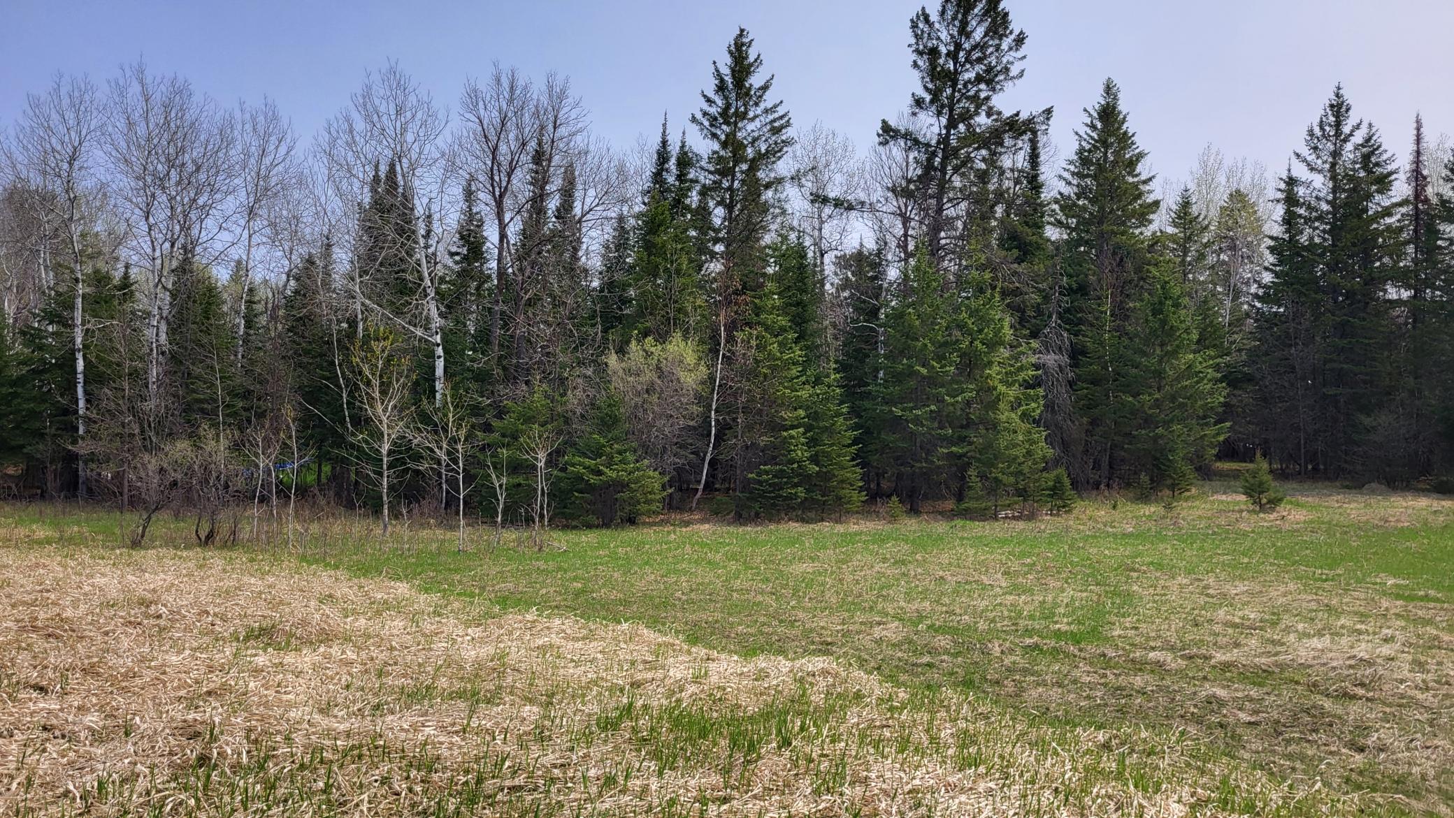 1 7th Street Cook, MN 55723 - Photo 1 of 1 Gallery Image 1