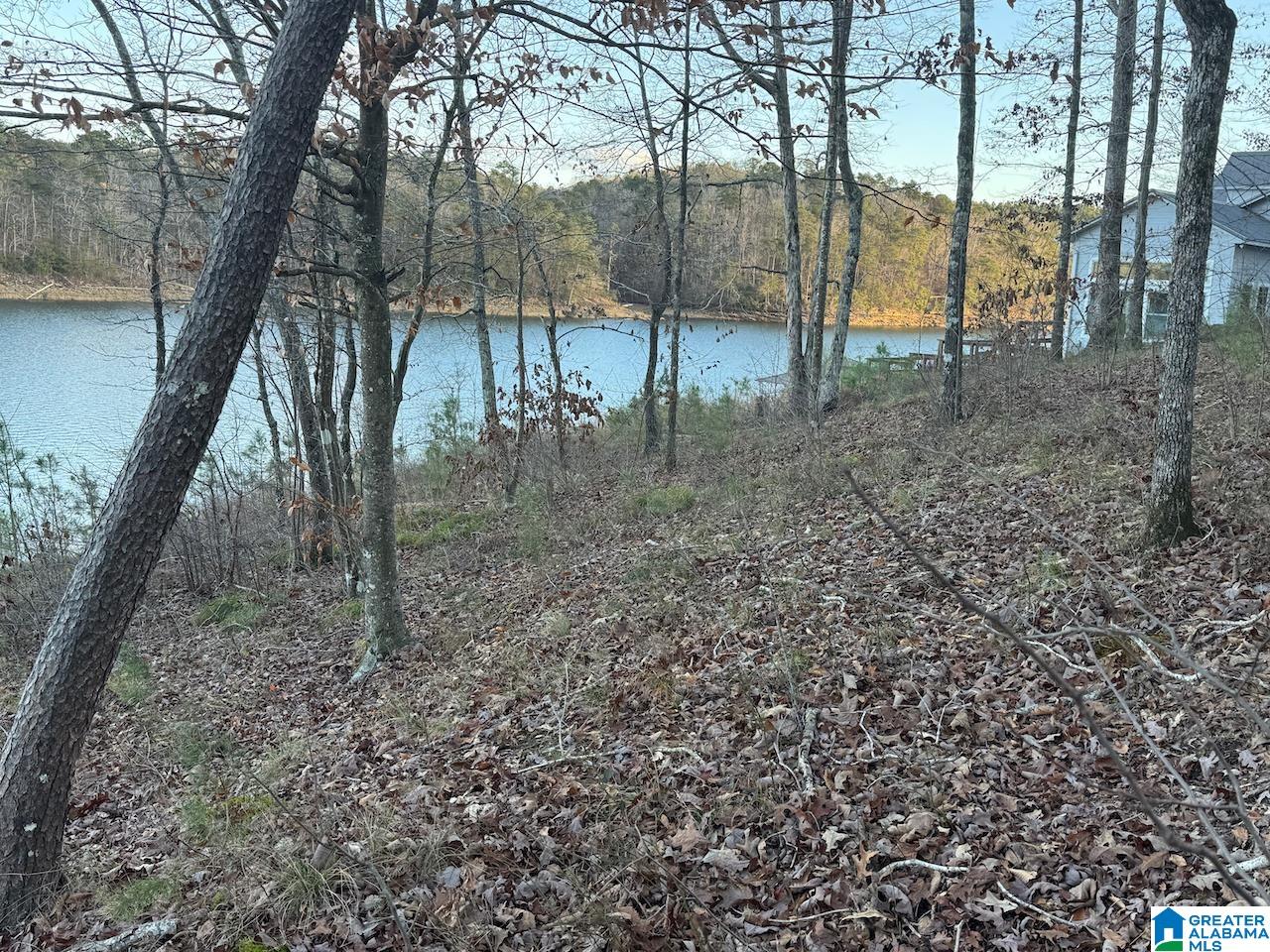 0 Edgewater Bend, Unit 29 Double Springs, AL 35553 - Photo 12 of 18