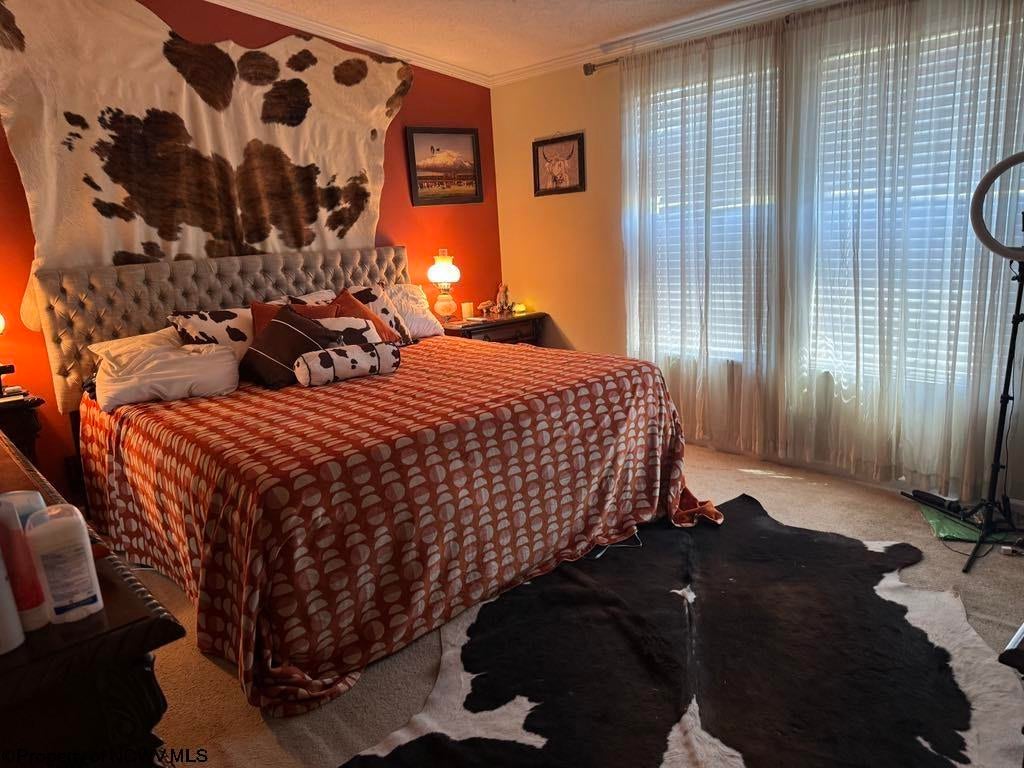 2677 Airport Road Sutton, WV 26601 - Photo 22 of 35 Gallery Image 22
