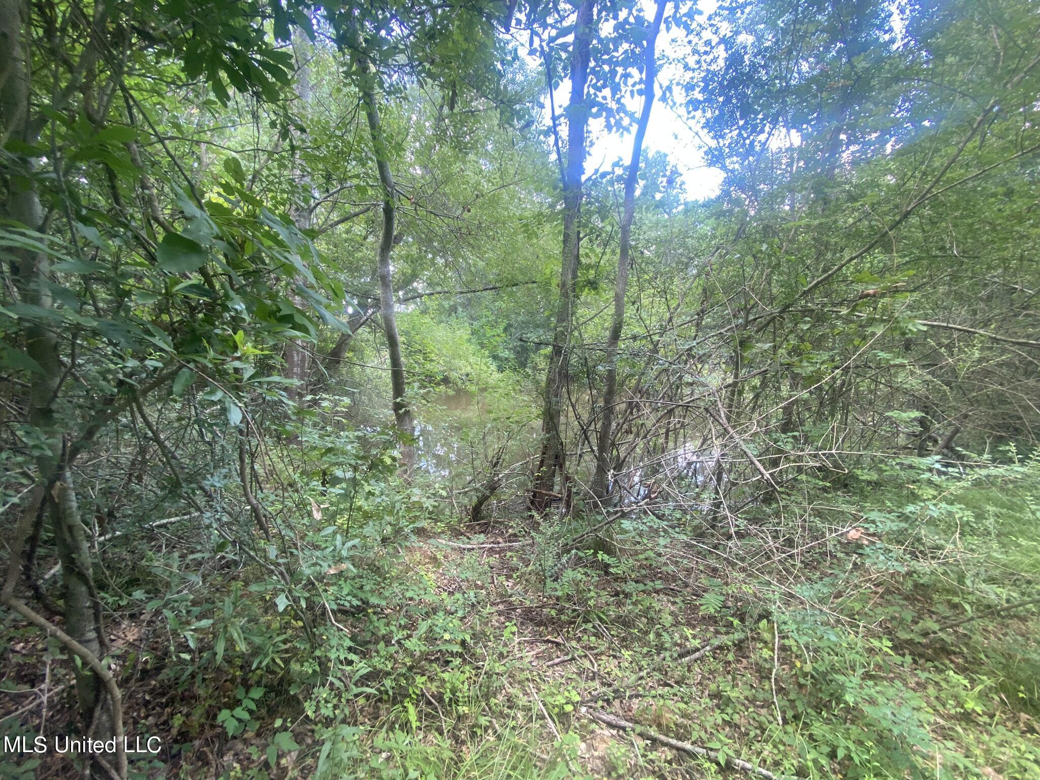 1811 Raymond Road Jackson, MS 39204 - Photo 7 of 13 8FFA37B1-BA00-4141-828F-57B84ECA3434