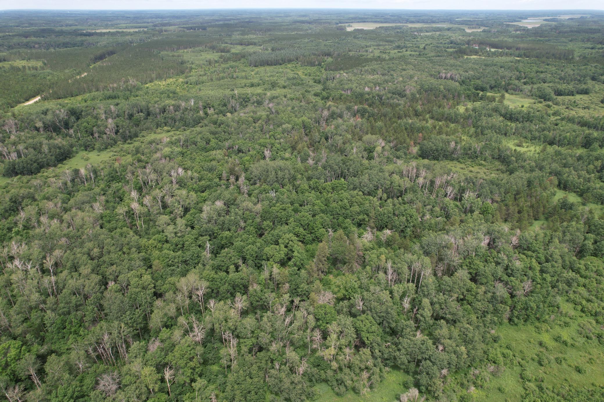Tbd 350th Street Sebeka, MN 56477 - Photo 19 of 100