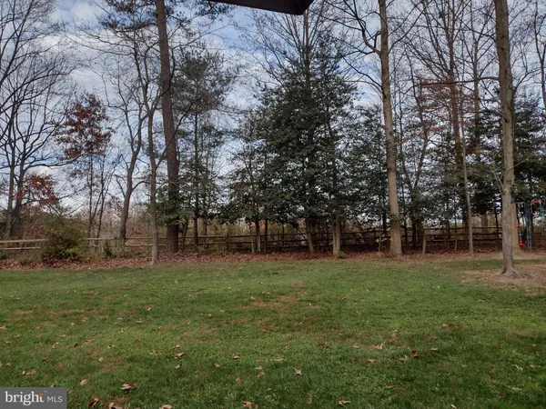 a view of a park with large trees