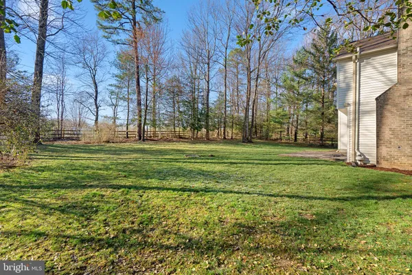a view of a park with large trees