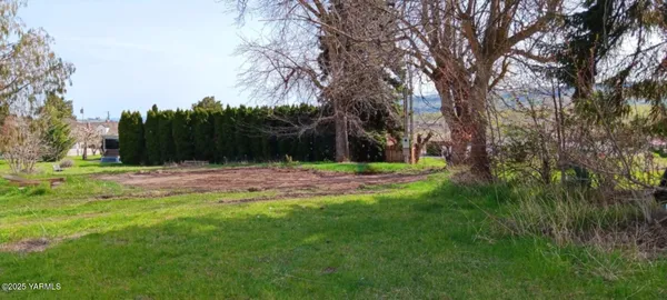 a view of a grassy field with trees in the background