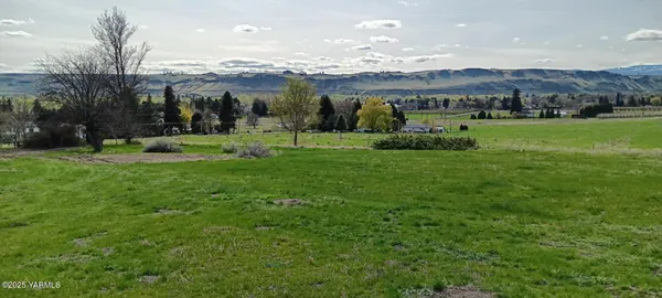 a view of a field with a mountain in the background