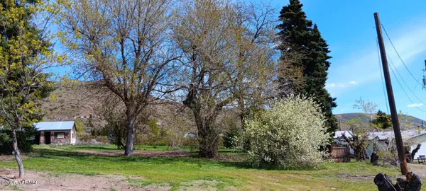 a view of a yard with an trees
