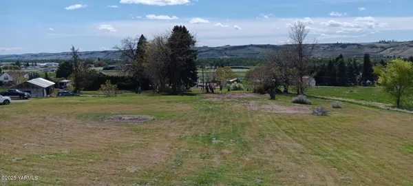 a view of a garden