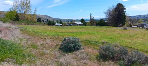a view of outdoor space with trees all around