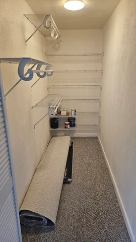 a view of storage and utility room with racks on the wall