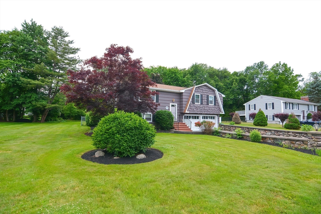 123 Capper Drive Canton, MA 02021 - Photo 2 of 32 a view of a house with a big yard potted plants and large tree