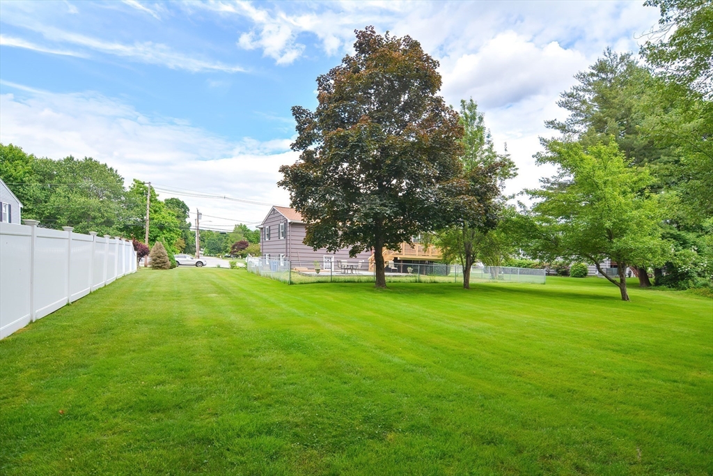 123 Capper Drive Canton, MA 02021 - Photo 24 of 32 a view of a trees with a big yard