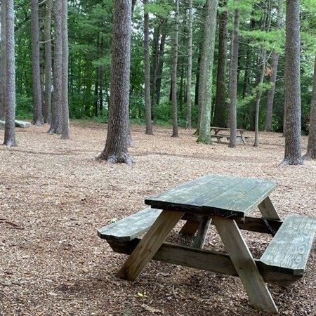 123 Capper Drive Canton, MA 02021 - Photo 31 of 32 a view of a wooden bench sitting in the backyard