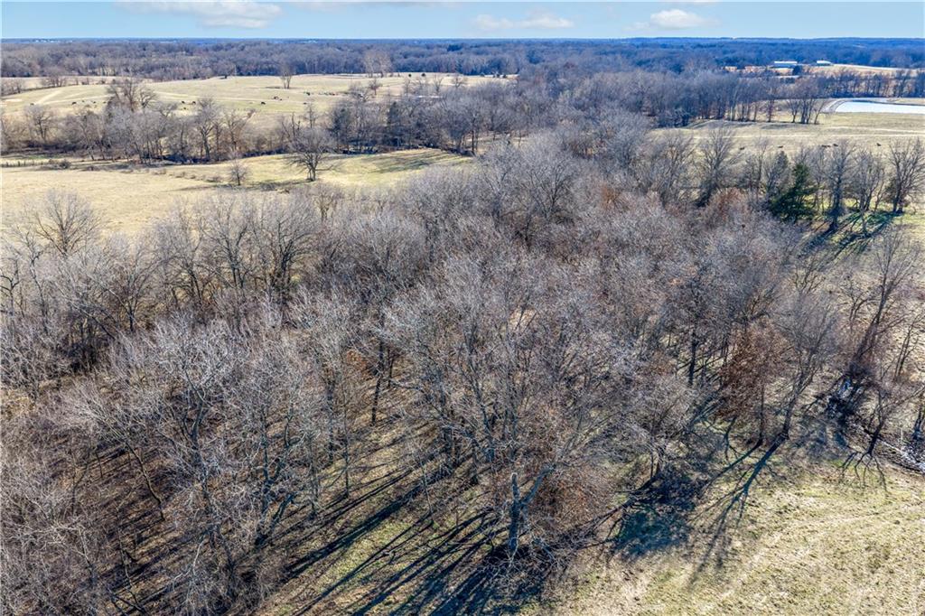 52 Highway 52 Windsor, MO 65360 - Photo 50 of 98