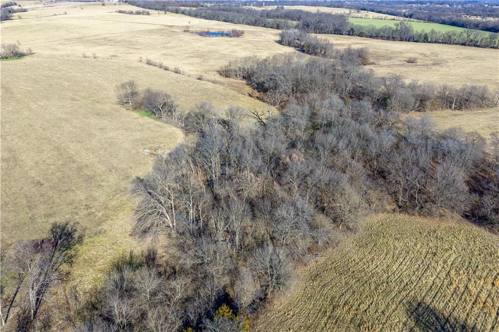 52 Highway 52 Windsor, MO 65360 - Photo 85 of 98